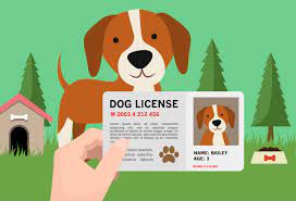 Dog License--2